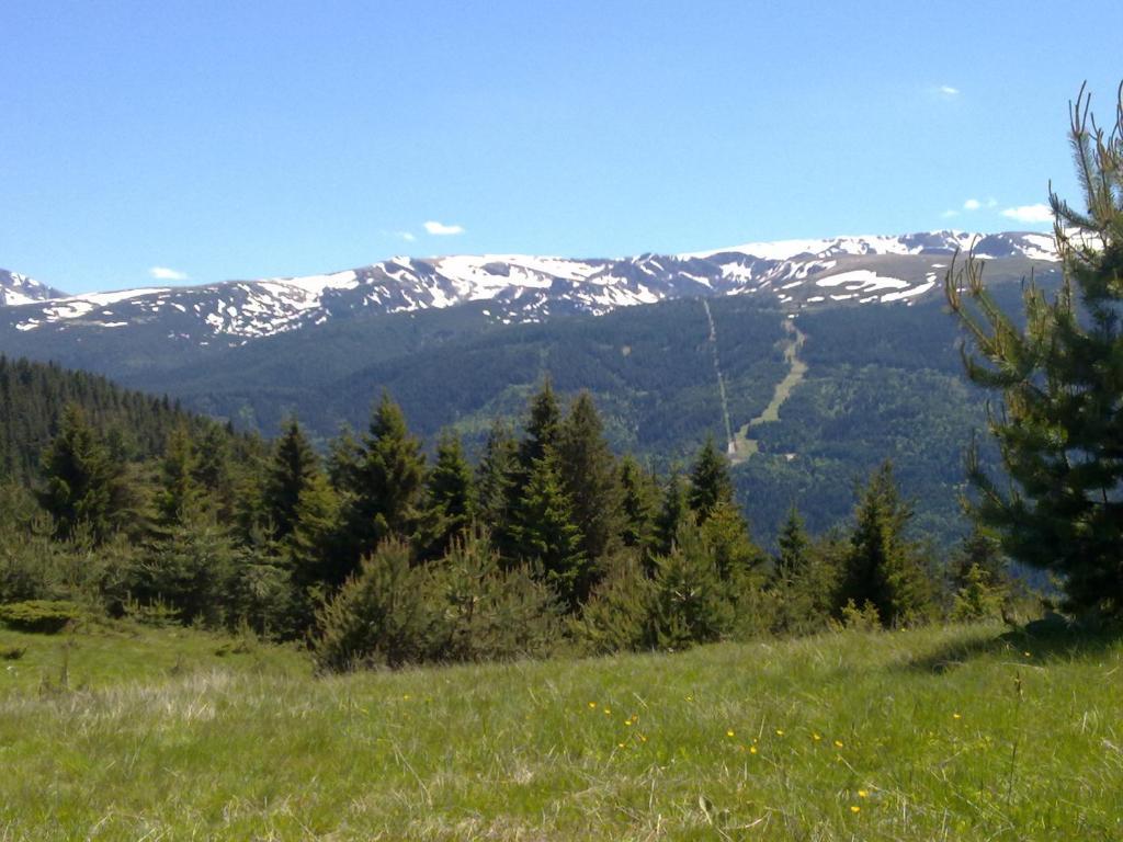 Mountain Dreams Apartment Sapareva Banya Exterior foto